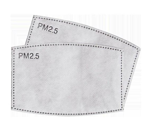 PM2.5 mask filter